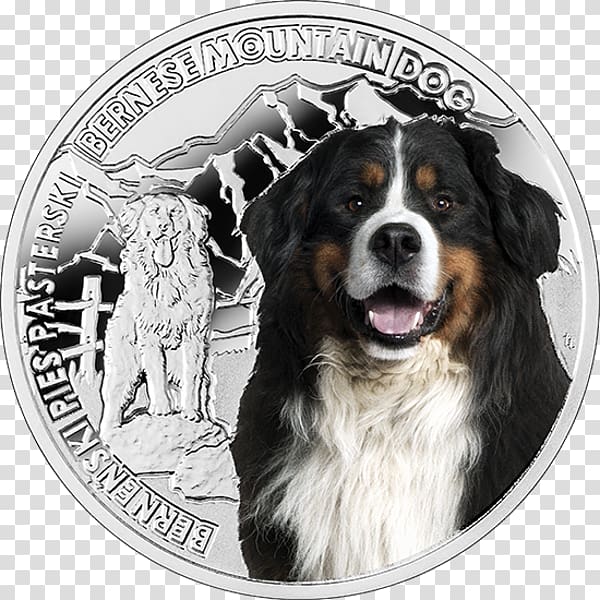 Bernese Mountain Dog Dog breed Greater Swiss Mountain Dog Coin, Bernese Mountain Dog transparent background PNG clipart