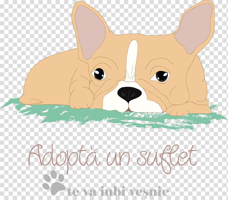 Dog breed Puppy Non-sporting group Illustration, puppy transparent background PNG clipart