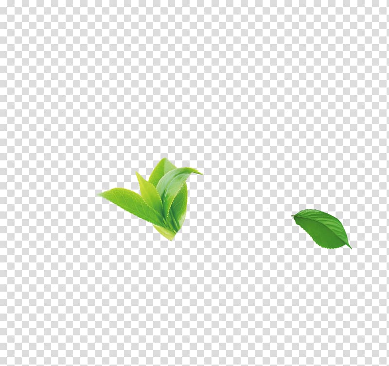 Green Leaf Pattern, tea transparent background PNG clipart