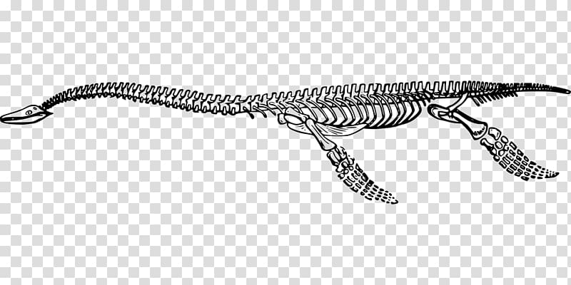 Reptile Plesiosaurus Fossil Extinction, dinosaur transparent background PNG clipart