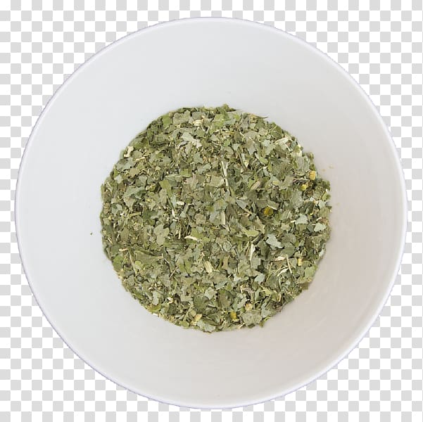 Herb Alchemilla vulgaris Common sage Seasoning Vegetarian cuisine, medicinal herbs transparent background PNG clipart