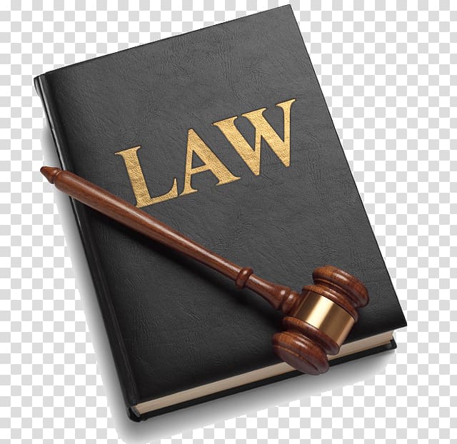 Law book Lawyer , lawyer transparent background PNG clipart
