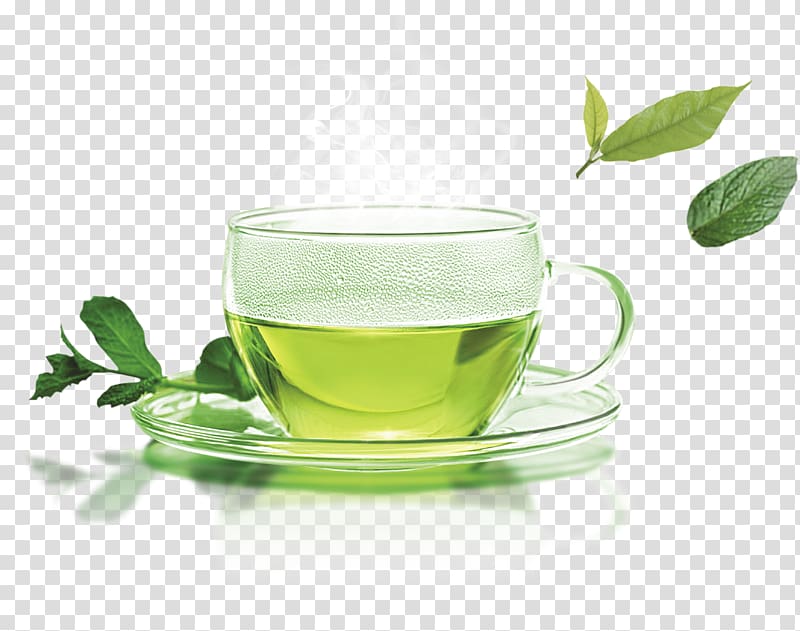 a cup of green tea transparent background PNG clipart