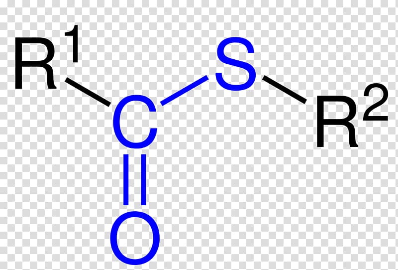 Dimethyl sulfoxide Methylsulfonylmethane Methyl group Functional group Dimethyl sulfide, Malonylcoa transparent background PNG clipart