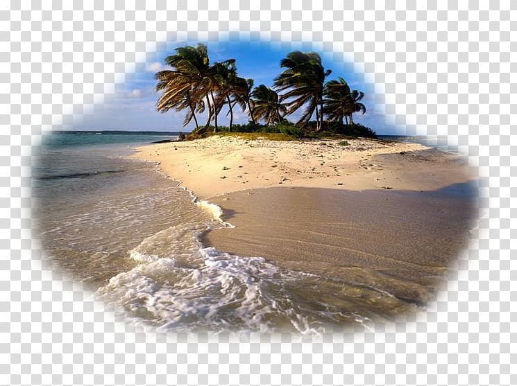 Desktop Beach Caribbean Coron, plage transparent background PNG clipart