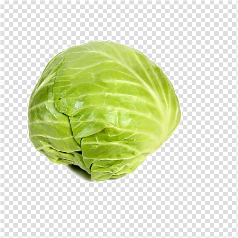 Cabbage Leaf vegetable Food, Fresh cabbage transparent background PNG clipart