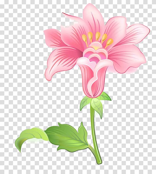 Floral design Garden phlox Cut flowers , Yo Yo transparent background PNG clipart