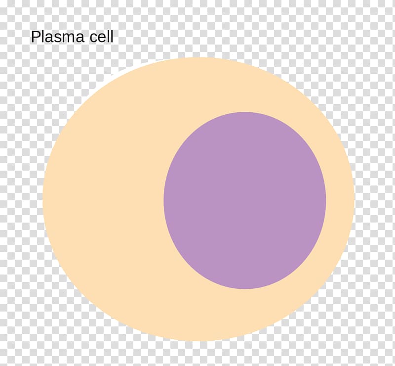 Plasma cell Blood plasma Information, others transparent background PNG clipart