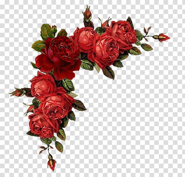 Borders and Frames Flower Red Garden roses , flower transparent background PNG clipart