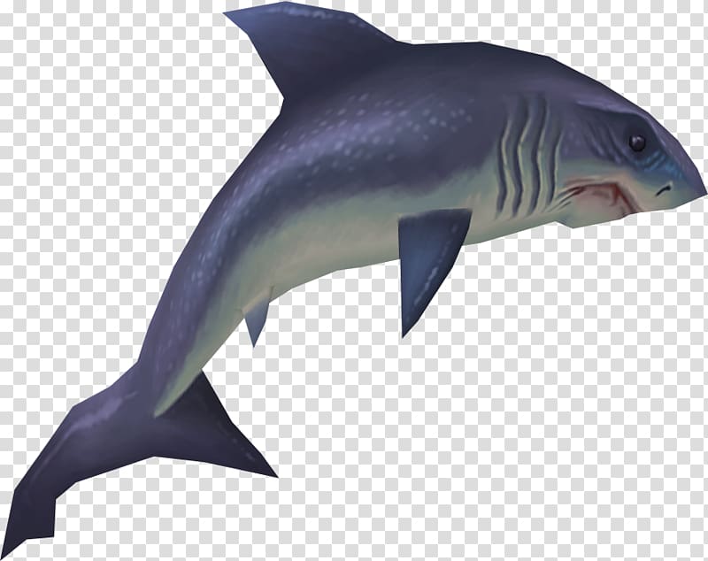 Hungry Shark Evolution Fish Great white shark Tiger shark, sharks transparent background PNG clipart