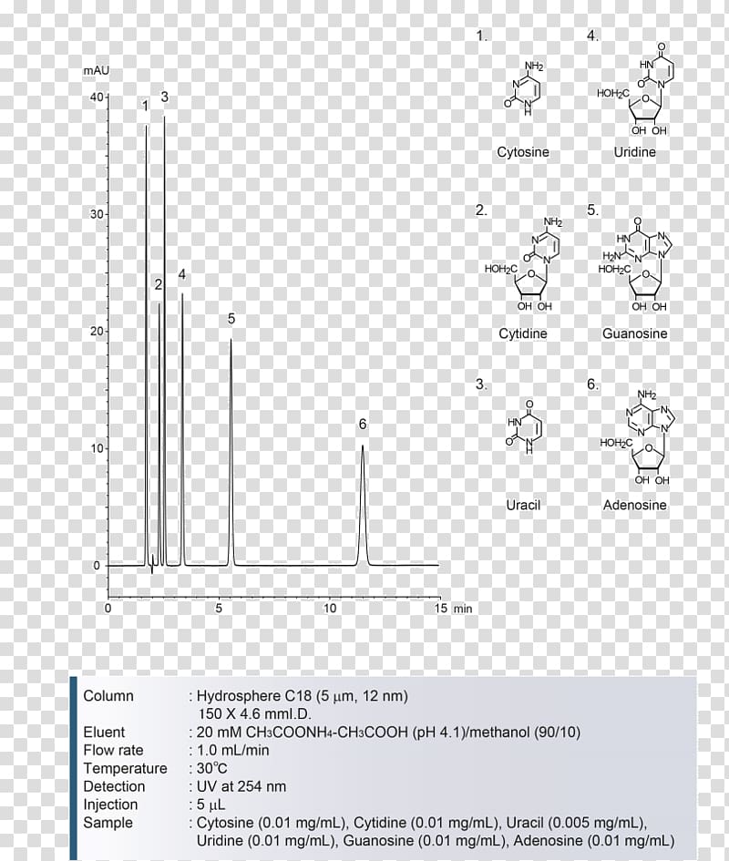 Paper Area Angle, hydrosphere transparent background PNG clipart