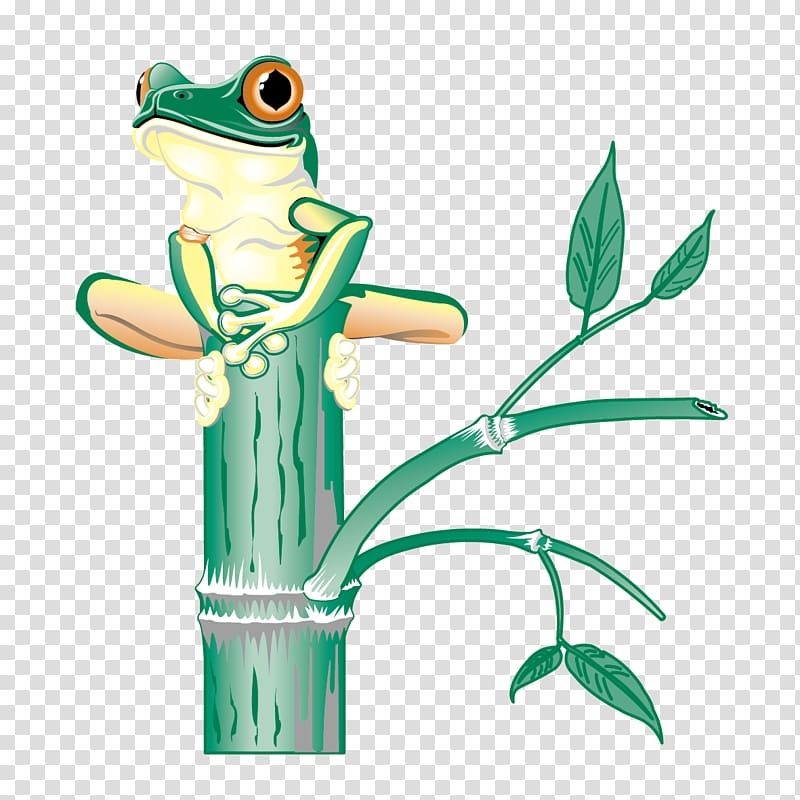 Tree frog , Frog on branch transparent background PNG clipart