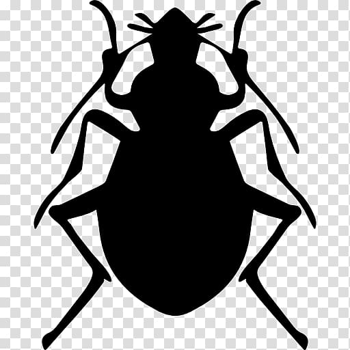 Beetle Pest Control Computer Icons Brown marmorated stink bug, beetle transparent background PNG clipart