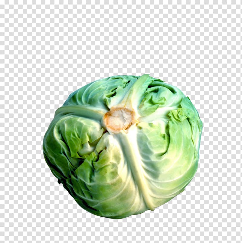 Savoy cabbage Cauliflower Broccoli Brussels sprout, cabbage transparent background PNG clipart