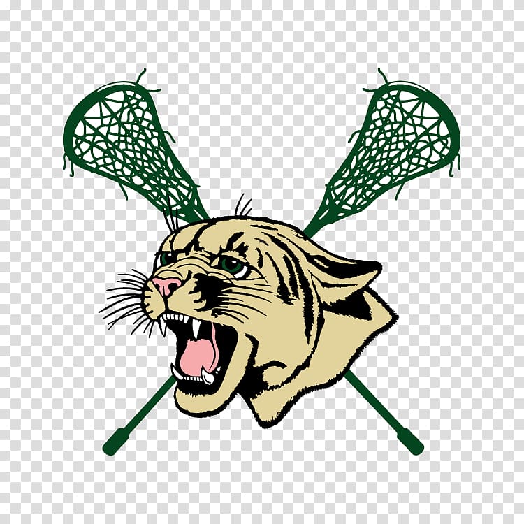 World Lacrosse Championship National Lacrosse League Women\'s lacrosse , Panther Lacrosse transparent background PNG clipart