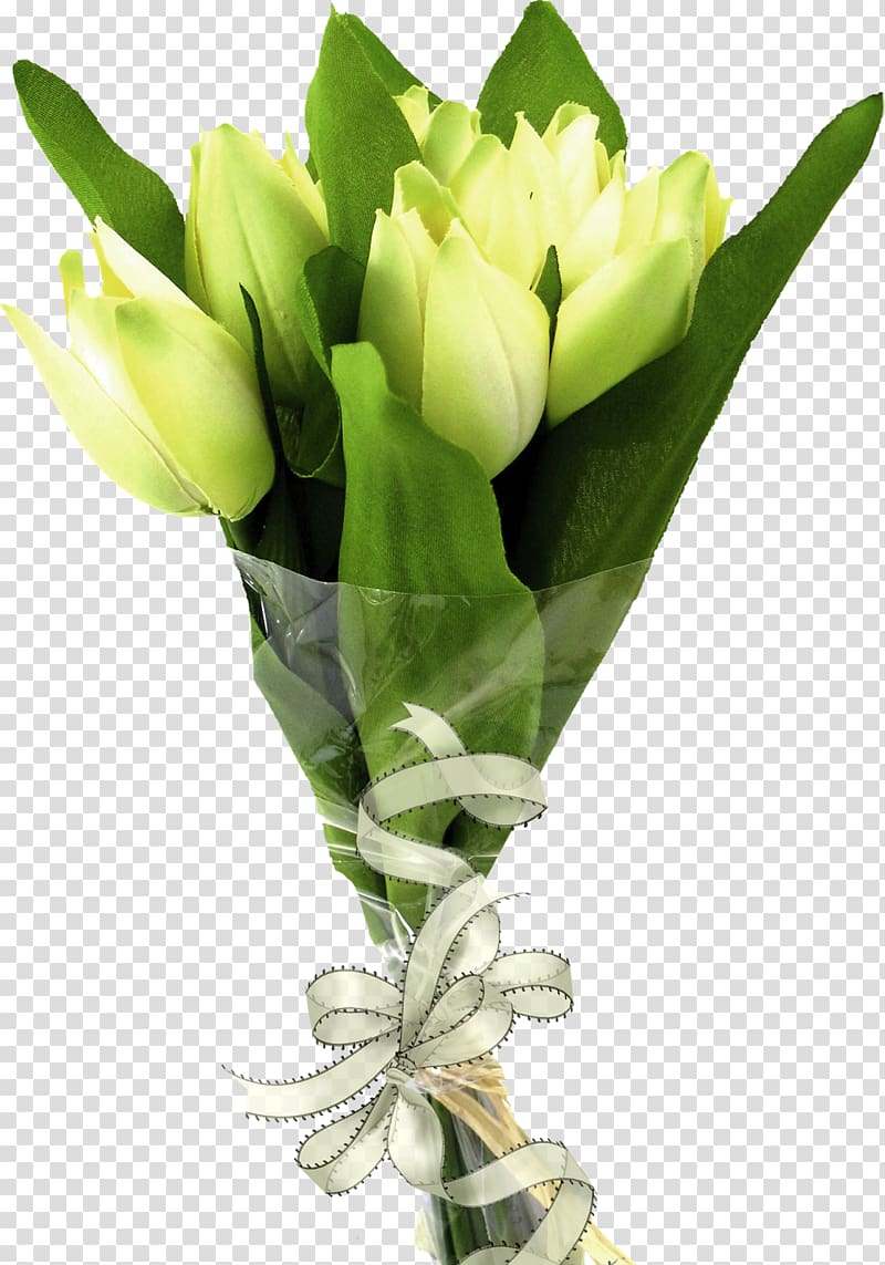 Flower bouquet , tulip transparent background PNG clipart
