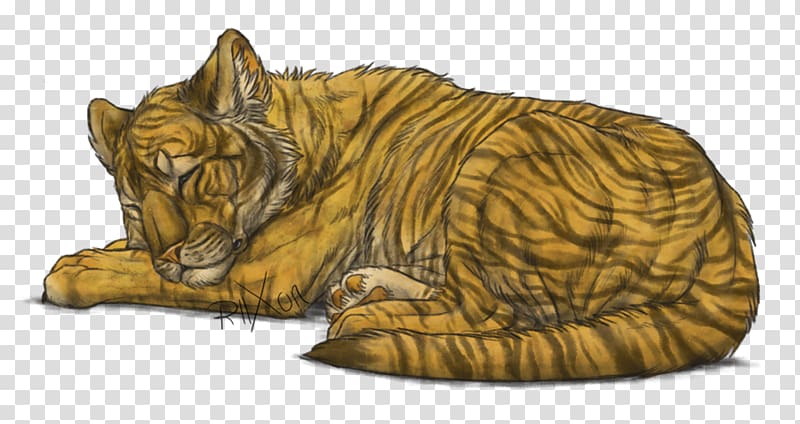 Tiger Lion Whiskers Cat , Baby tiger transparent background PNG clipart