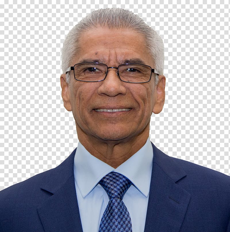 Michael B. Medline Business Deloitte Zambia Chief Executive, Business transparent background PNG clipart