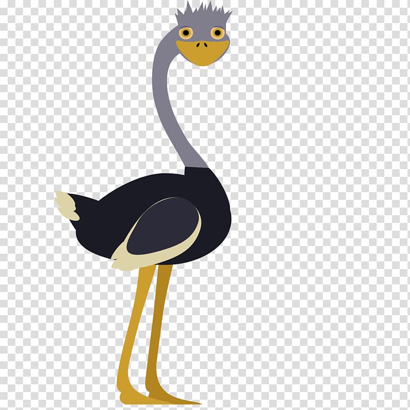 Common ostrich Cat Bird , Cartoon ostrich transparent background PNG clipart