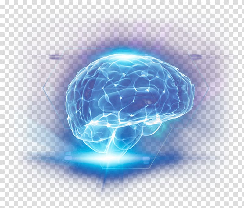 Dietary supplement Brain Tablet Nootropic Nervous system, Brain transparent background PNG clipart