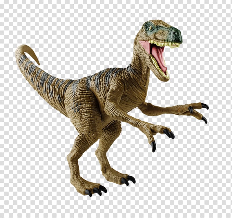 Velociraptor Tyrannosaurus American International Toy Fair Jurassic Park, t rex transparent background PNG clipart