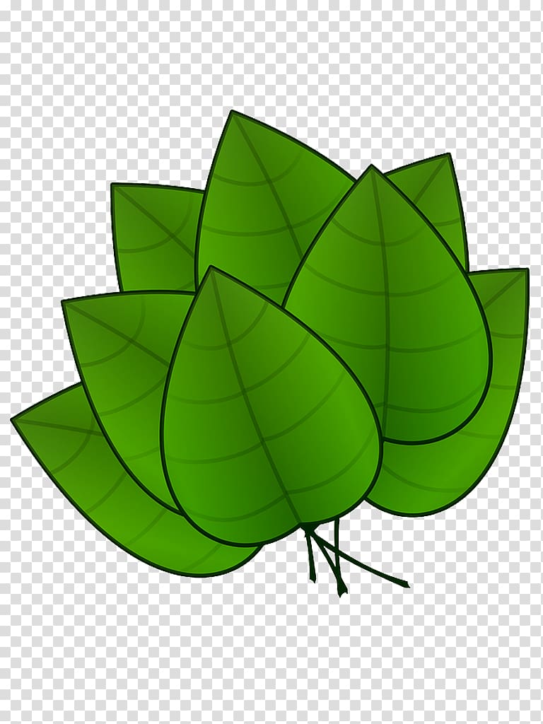 Plant Leaves Leaf , folha transparent background PNG clipart