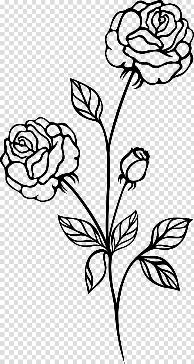 Black Rose Black And White Botanical Flowers Transparent