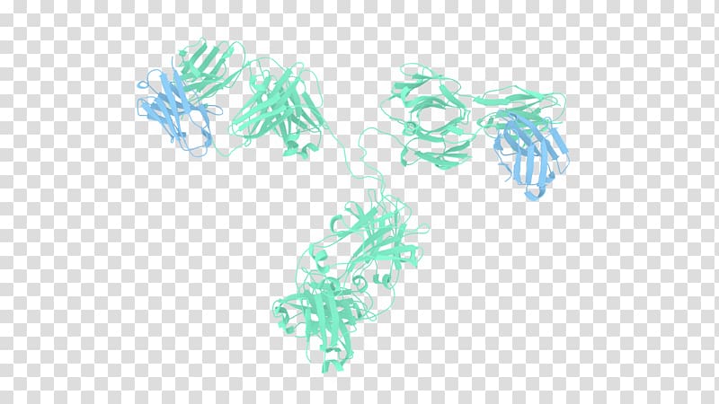 Antibody-drug conjugate Structure Ribbon diagram Single-domain antibody, teal transparent background PNG clipart