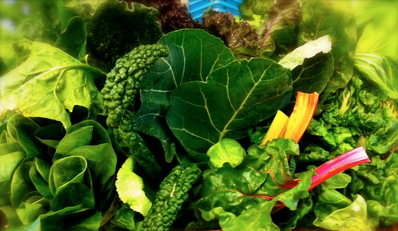 Leaf vegetable Eating Nutrition Food, spinach transparent background PNG clipart