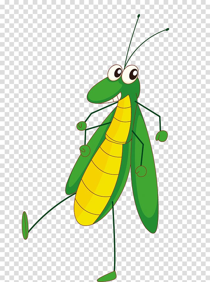 Cartoon Insect Bee Illustration, Grasshopper transparent background PNG clipart