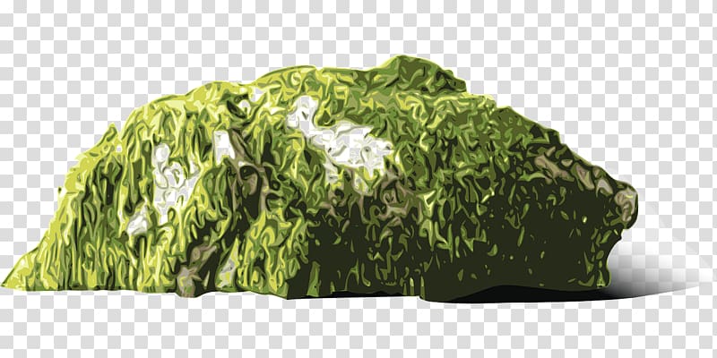 Moss , Moss log transparent background PNG clipart