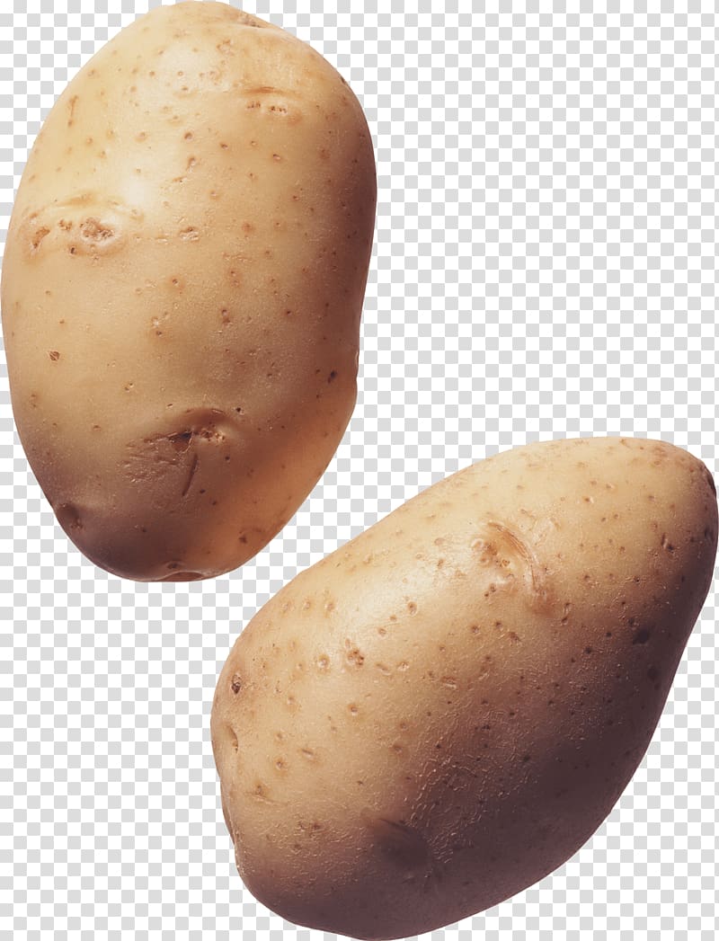 Potato Icon, Potato transparent background PNG clipart