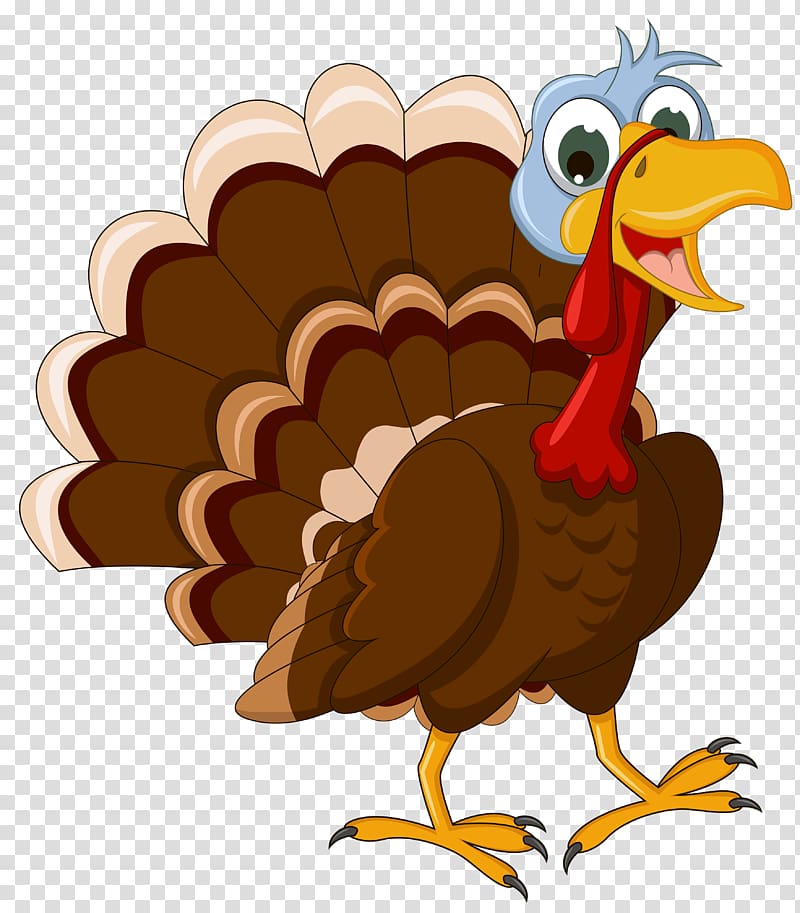 brown turkey , Turkey Cartoon , Thanksgiving Turkey transparent background PNG clipart