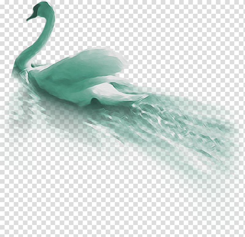 Duck Green Feather Beak , Goose transparent background PNG clipart