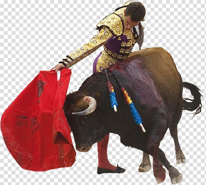 Spain Spanish Fighting Bull Spanish-style bullfighting, Spanish bullfighting theme Wind creatives transparent background PNG clipart