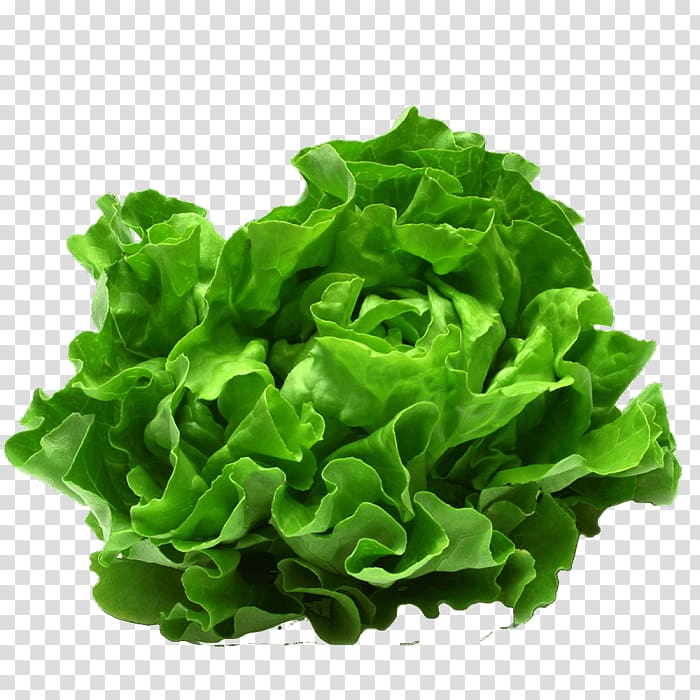 Caesar salad Food Leaf vegetable Kapsalon, salad transparent background PNG clipart