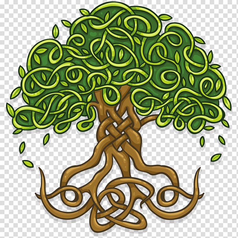 green leafed tree with roots illustration, T-shirt Tree of life Wall decal Celtic sacred trees, life transparent background PNG clipart