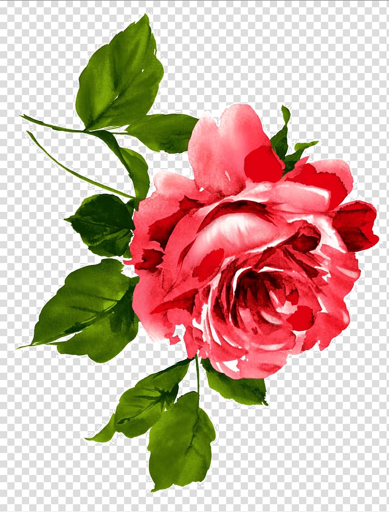 red rose illustration, China Flower Peony Floral emblem Chinese, flowers transparent background PNG clipart