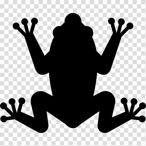 Frog Computer Icons Amphibians, frog transparent background PNG clipart