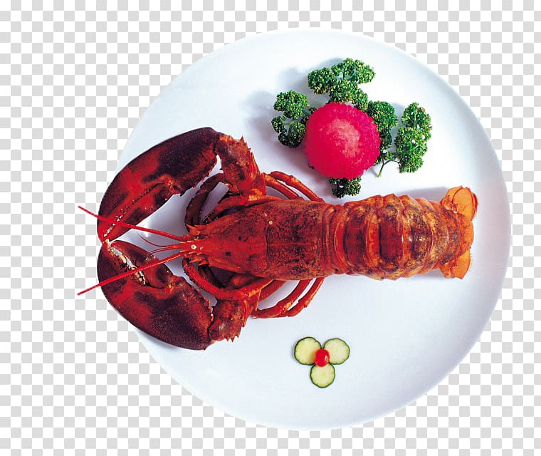 Lobster Crayfish as food Seafood Palinurus elephas, Lobster transparent background PNG clipart