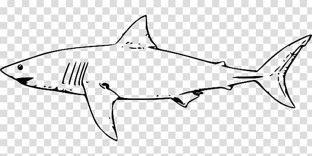 Great white shark Lamniformes Hammerhead shark Tiger shark , black outline of a fish transparent background PNG clipart