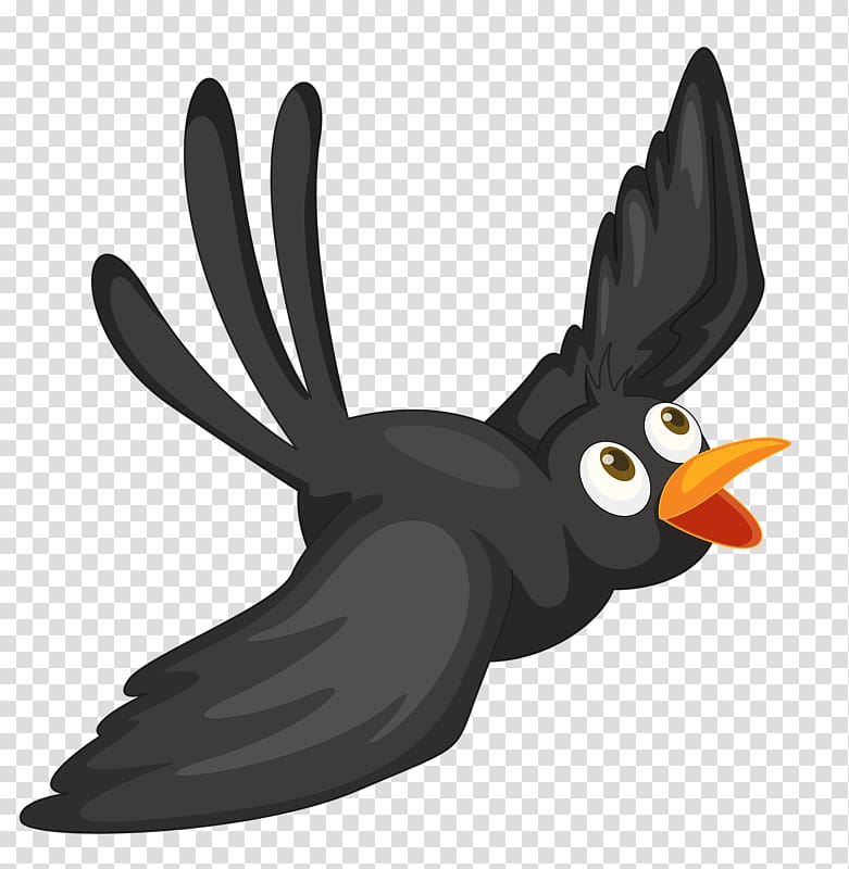 black bird , Bird Crows Cartoon , Black Crow transparent background PNG clipart