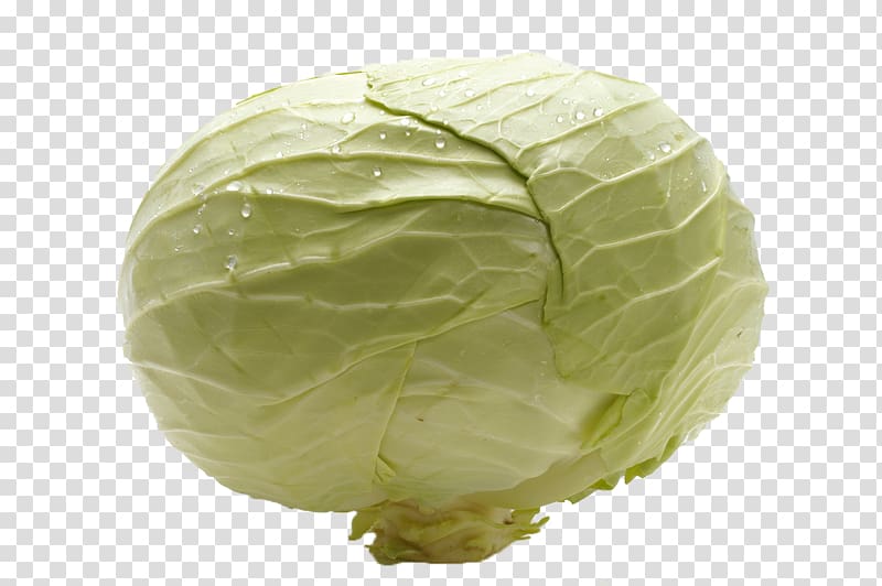 Savoy cabbage Nimono Vegetable Food, Cabbage transparent background PNG clipart