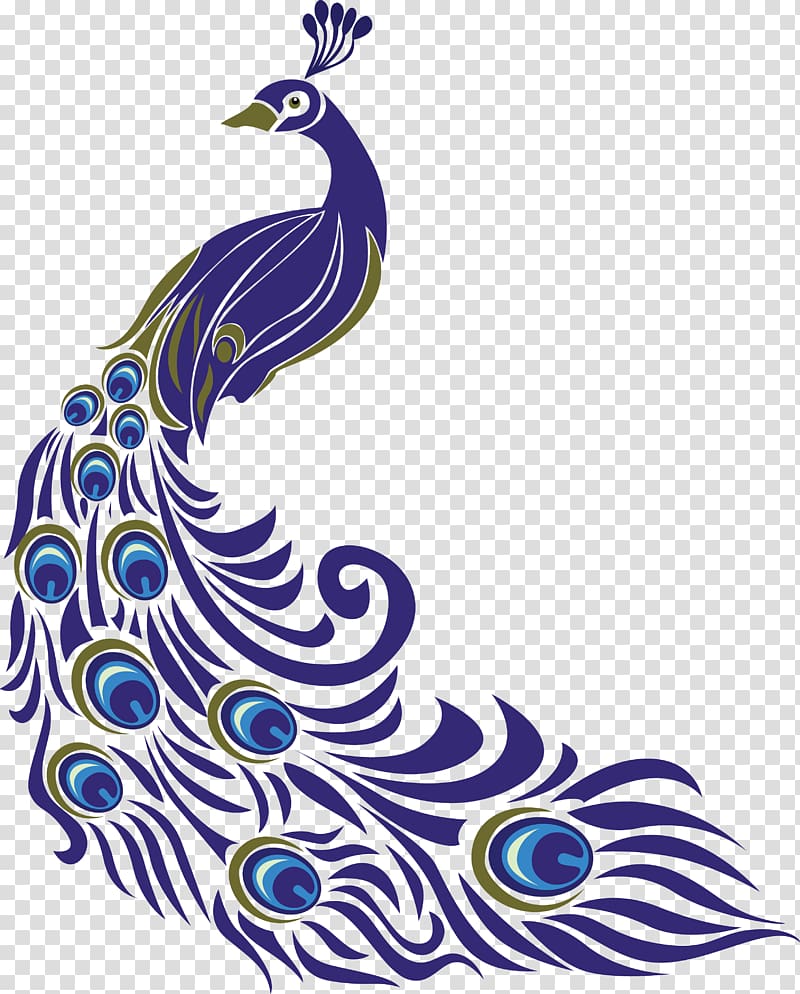 Pavo Drawing , peacock Pattern transparent background PNG clipart