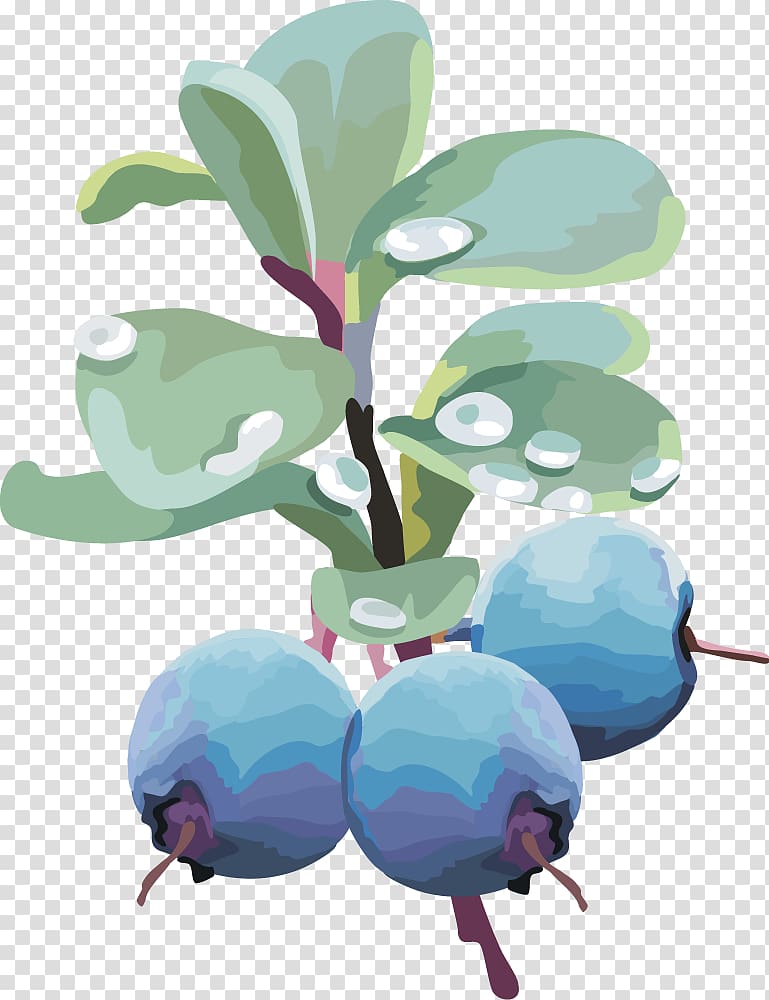 Blueberry Euclidean , lantern fruit blueberry fruit,blueberry transparent background PNG clipart
