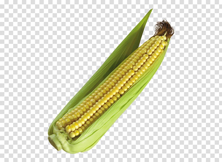 Maize Popcorn Vegetable Cereal, A corn transparent background PNG clipart
