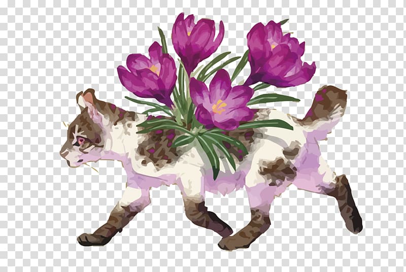 Cat , Shannon Swan and Cat transparent background PNG clipart