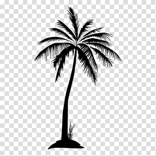 Arecaceae Tree Silhouette , date palm transparent background PNG clipart