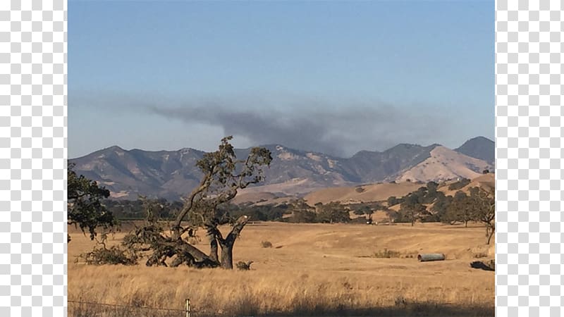 Zaca Lake Santa Barbara County Fire Department Los Olivos Santa Ynez Valley Shrubland, others transparent background PNG clipart