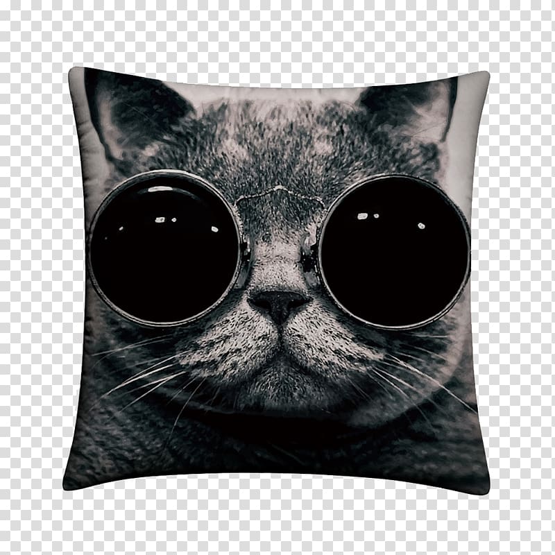 Star cat cushion transparent background PNG clipart